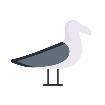 Seagull, Animated Icon, Flat