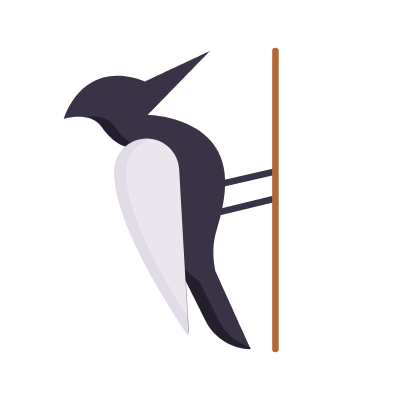 Woodpecker, Animated Icon, Flat