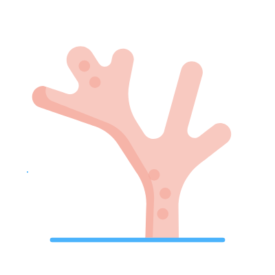 Coral, Animated Icon, Flat
