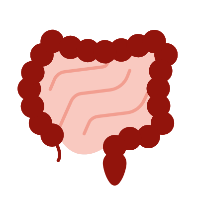 Digestion, Animated Icon, Flat