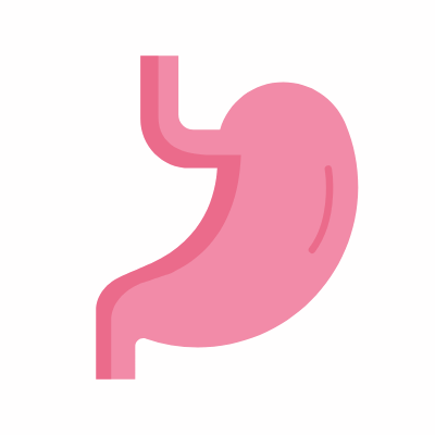 Stomach, Animated Icon, Flat