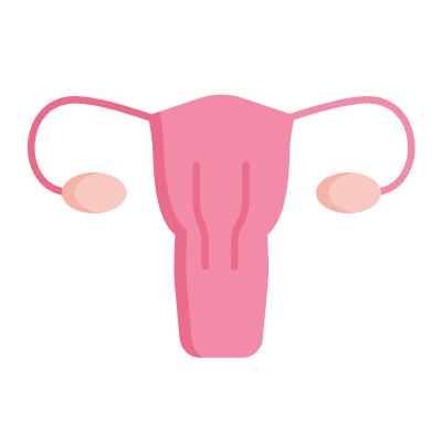 Ovaries, Animated Icon, Flat