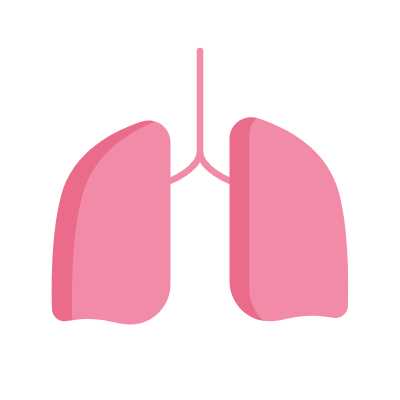 Lungs, Animated Icon, Flat