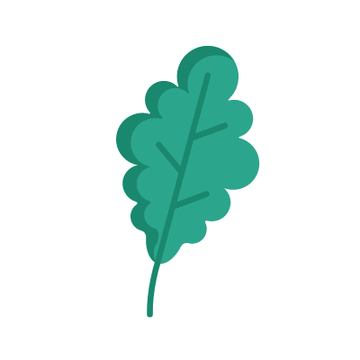 Oak leaf, Animated Icon, Flat