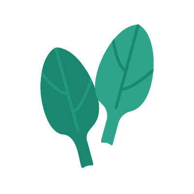 Spinach, Animated Icon, Flat