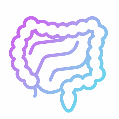 Digestion, Animated Icon, Gradient