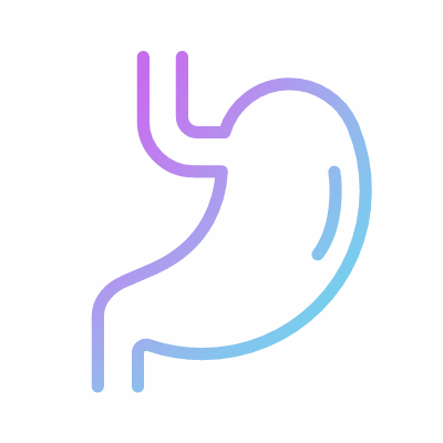 Stomach, Animated Icon, Gradient