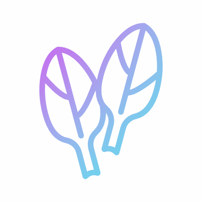 Spinach, Animated Icon, Gradient