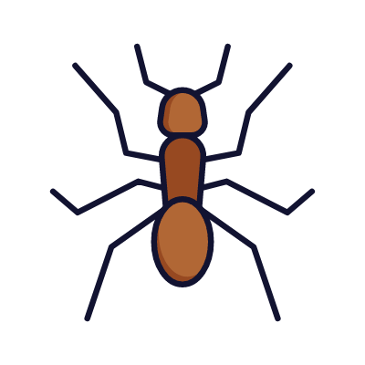 Ant, Animated Icon, Lineal