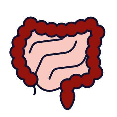 Digestion, Animated Icon, Lineal