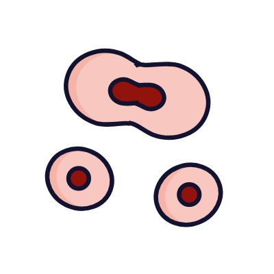 Cell division, Animated Icon, Lineal