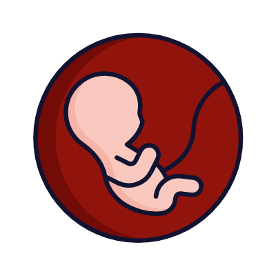 Fetus, Animated Icon, Lineal