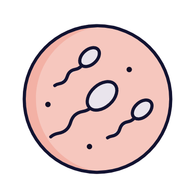 Embryo, Animated Icon, Lineal