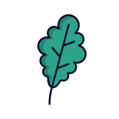 Oak leaf, Animated Icon, Lineal