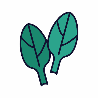 Spinach, Animated Icon, Lineal