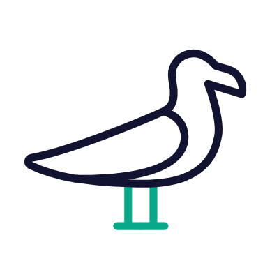 Seagull, Animated Icon, Outline
