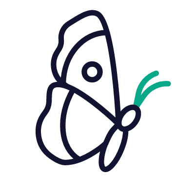 Butterfly, Animated Icon, Outline