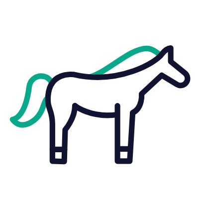 Horse, Animated Icon, Outline