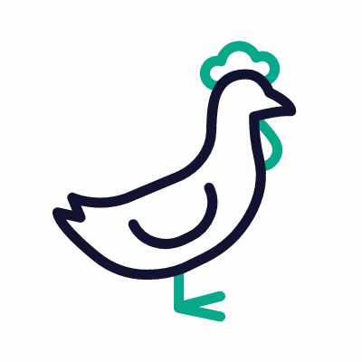 Chicken, Animated Icon, Outline