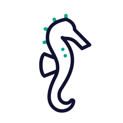 Seahorse, Animated Icon, Outline