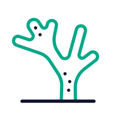 Coral, Animated Icon, Outline