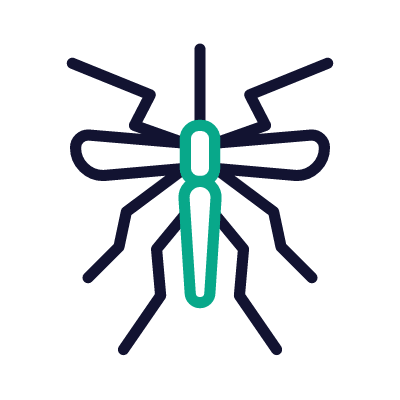 Mosquito, Animated Icon, Outline