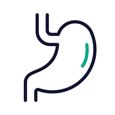 Stomach, Animated Icon, Outline