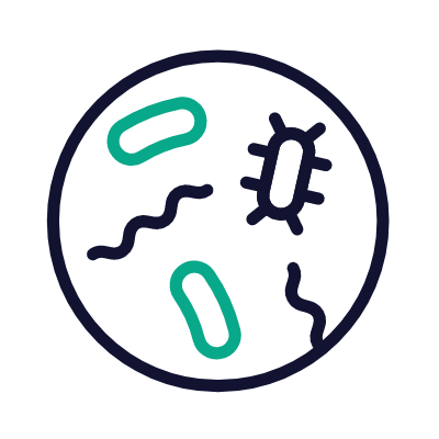 Bacteria, Animated Icon, Outline