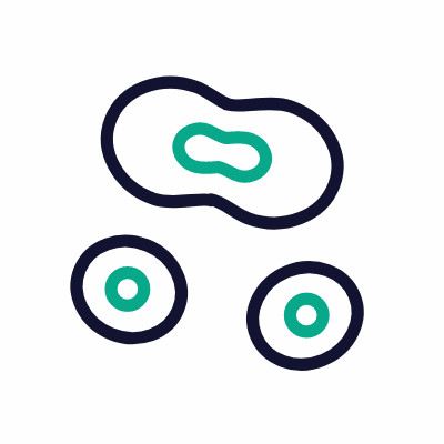 Cell division, Animated Icon, Outline