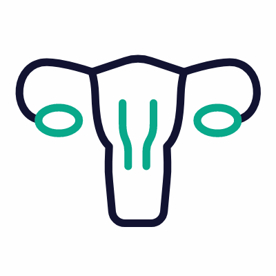 Ovaries, Animated Icon, Outline