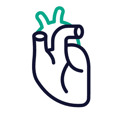 Heart, Animated Icon, Outline
