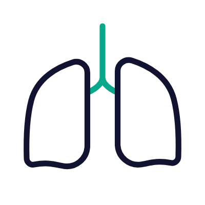 Lungs, Animated Icon, Outline