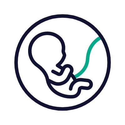 Fetus, Animated Icon, Outline
