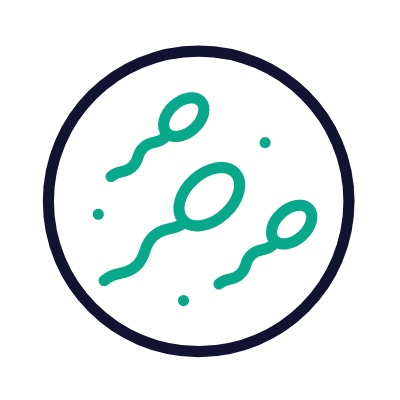 Embryo, Animated Icon, Outline