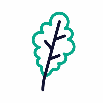 Oak leaf, Animated Icon, Outline