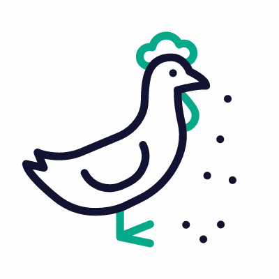 Feeding chicken, Animated Icon, Outline