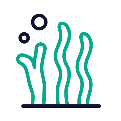 Algae, Animated Icon, Outline