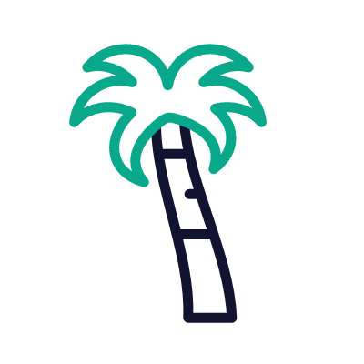 Palm tree, Animated Icon, Outline