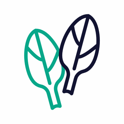Spinach, Animated Icon, Outline