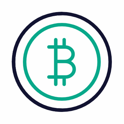 BTC coin, Animated Icon, Outline