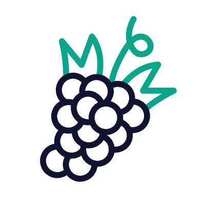 Grape, Animated Icon, Outline