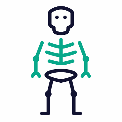 Skeleton, Animated Icon, Outline